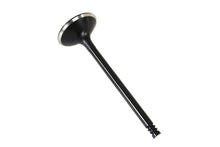 Load image into Gallery viewer, 1200cc Black Diamond Stem Exhaust Valve