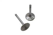 Load image into Gallery viewer, Stainless Steel Intake Valve