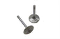 Stainless Steel Intake Valve