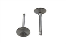 Load image into Gallery viewer, Stainless Steel Intake Valve