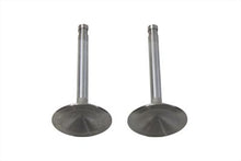 Load image into Gallery viewer, Stainless Steel Intake Valve