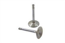 Load image into Gallery viewer, Stainless Steel Intake Valve