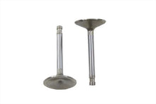 Load image into Gallery viewer, Stainless Steel Intake Valve