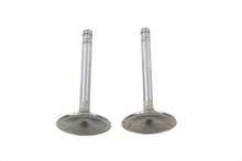 Load image into Gallery viewer, Stainless Steel Intake Valve