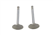 Load image into Gallery viewer, Stainless Steel Exhaust Valve