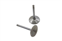 Load image into Gallery viewer, 900/1000cc Stainless Steel Intake Valve