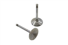 Load image into Gallery viewer, 900cc Stainless Steel Intake Valve