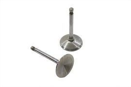 Manley 900cc stainless steel intake valve for engine, showing the shiny metal valve with detailed machining.