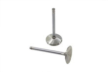 Load image into Gallery viewer, Stainless Steel Intake Valve