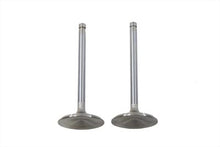 Load image into Gallery viewer, Stainless Steel Intake Valve