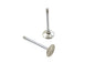 Stainless Steel Exhaust Valves