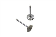 Load image into Gallery viewer, Stainless Steel Intake Valves