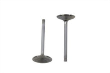 Load image into Gallery viewer, Stainless Steel Intake Valves