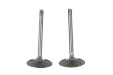 Load image into Gallery viewer, Stainless Steel Intake Valves