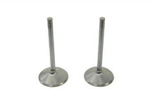 Load image into Gallery viewer, Stainless Steel Intake Valves