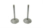 Stainless Steel Intake Valves