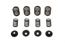 Load image into Gallery viewer, Valve Spring Set