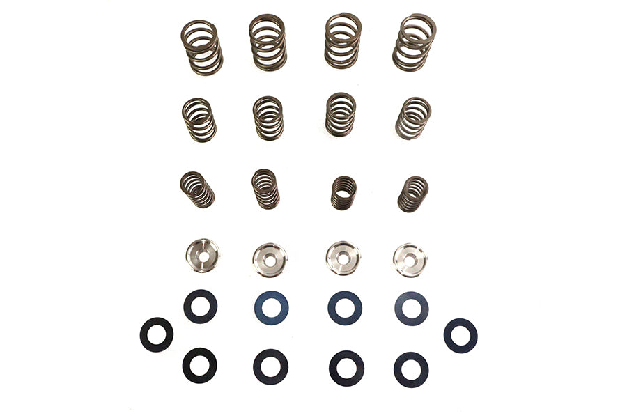 Valve Spring Kit