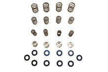 Load image into Gallery viewer, Valve Spring Kit