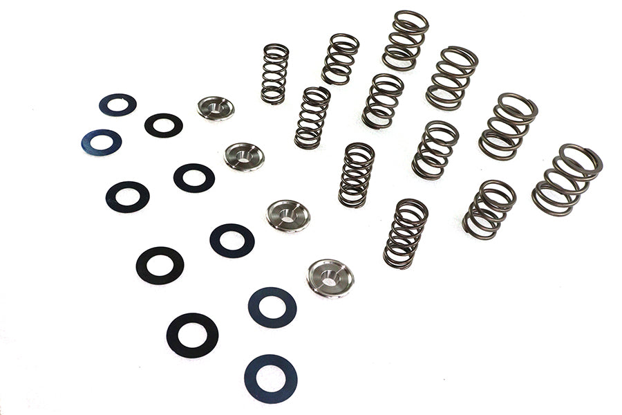 Valve Spring Kit