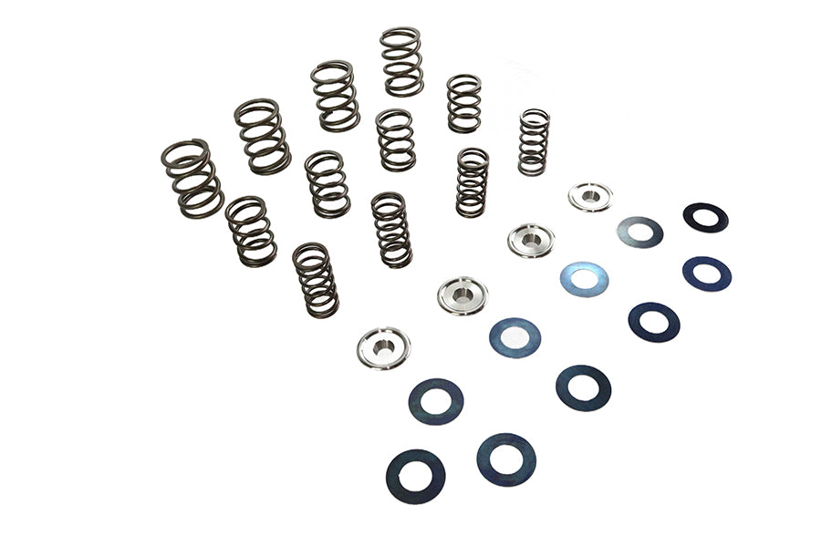 Valve Spring Kit