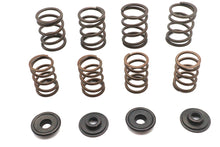 Load image into Gallery viewer, Valve Spring Kit
