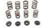 Valve Spring Kit