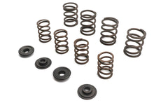 Load image into Gallery viewer, Valve Spring Kit