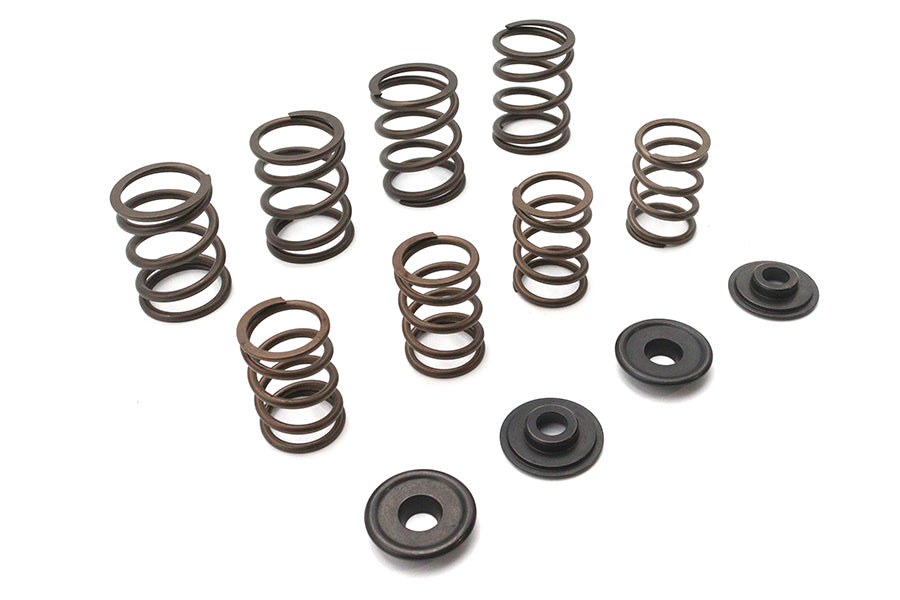 Valve Spring Kit