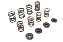 Load image into Gallery viewer, Valve Spring Kit