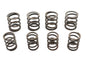 Valve Spring Kit