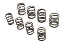 Load image into Gallery viewer, Valve Spring Kit