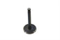 Nitrate Intake Valve