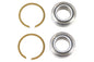 Swingarm Pivot Bearing