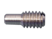 Load image into Gallery viewer, Right Crank Case Bushing Screw