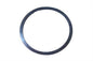 Retaining Ring Case Bearing
