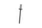 OE Ignition System Cover Pop Rivet