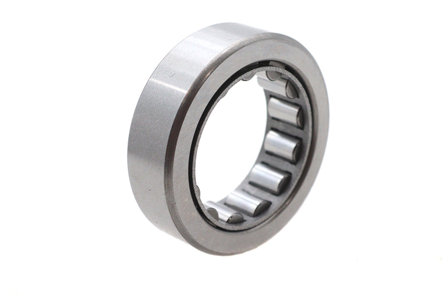 Big Twin Primary Housing Bearing