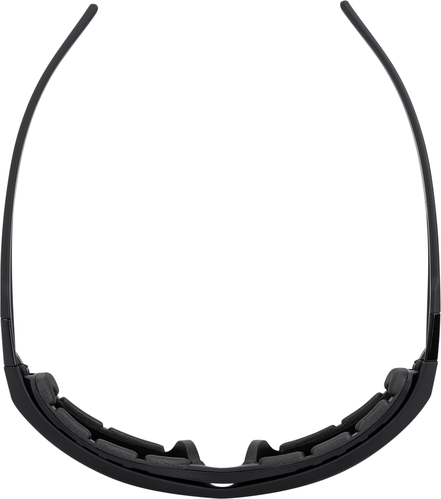 Flatside Hybrid Goggle Black