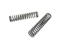 Load image into Gallery viewer, Lower Spring Fork Spring Set Parkerized
