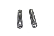 Load image into Gallery viewer, Lower Spring Fork Spring Set Parkerized