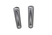 Load image into Gallery viewer, Lower Spring Fork Spring Set Parkerized