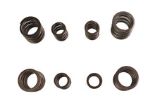 Load image into Gallery viewer, Sifton Valve Spring