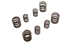 Load image into Gallery viewer, Sifton Valve Spring