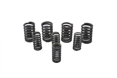 Valve Spring Kit