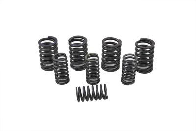 Valve Spring Kit