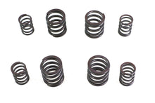 Load image into Gallery viewer, Valve Spring Set