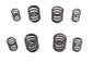 Valve Spring Set