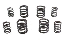 Load image into Gallery viewer, Valve Spring Set