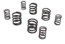 Load image into Gallery viewer, Valve Spring Set